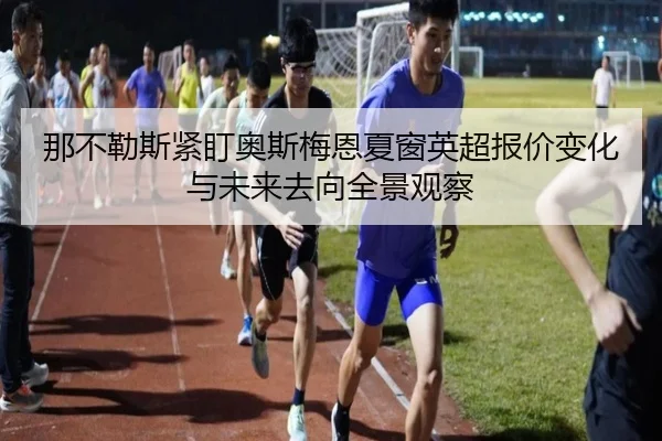 那不勒斯紧盯奥斯梅恩夏窗英超报价变化与未来去向全景观察